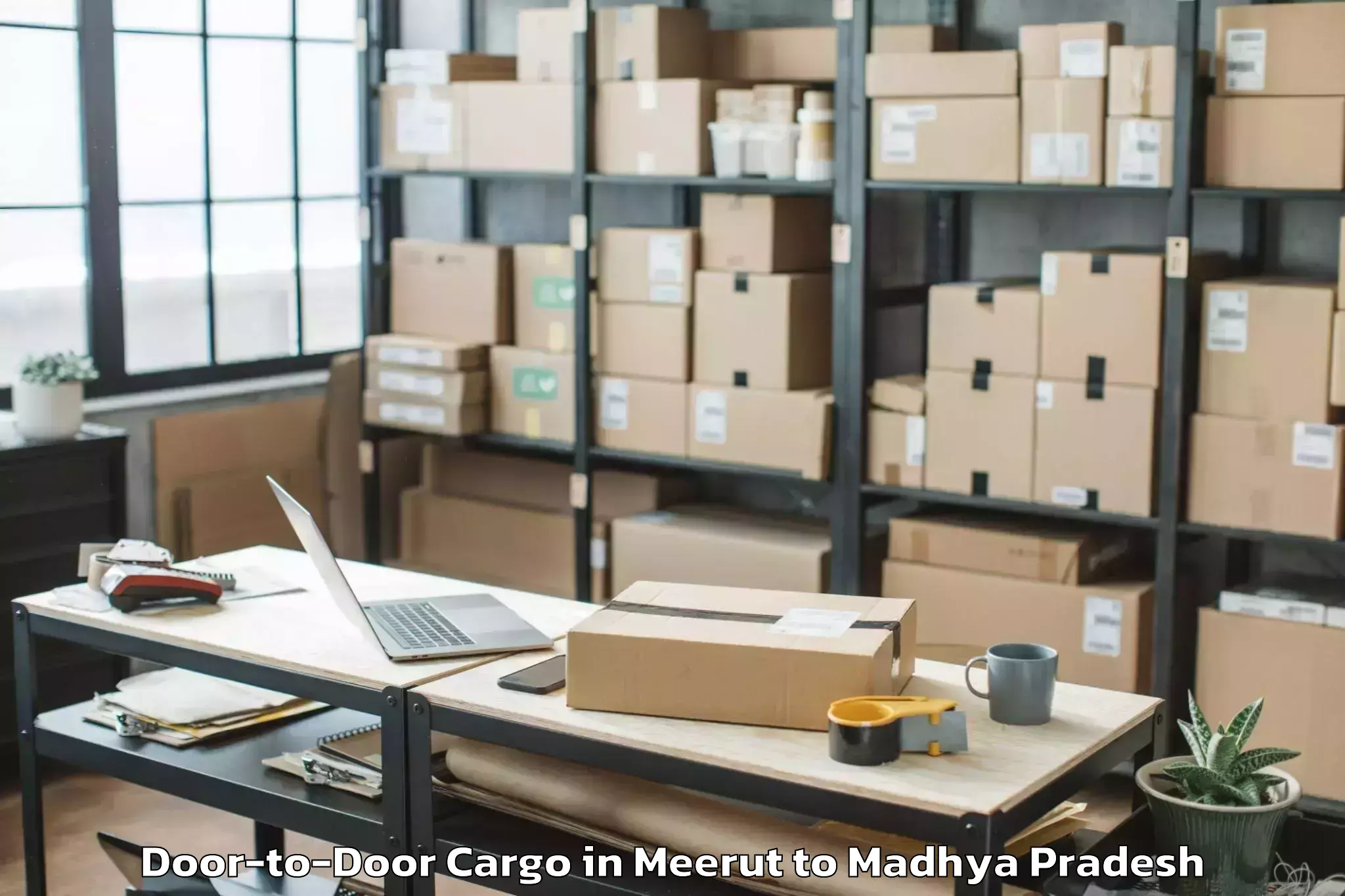 Easy Meerut to Madhyanchal Professional Unive Door To Door Cargo Booking